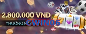 CWIN06
