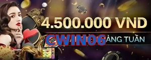 CWIN06