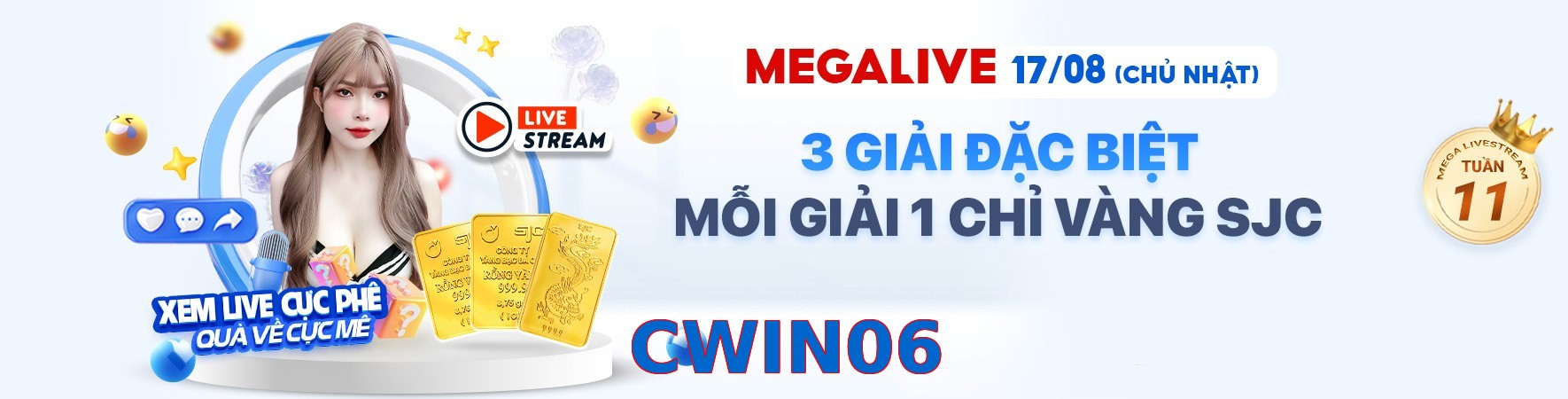 CWIN06