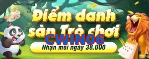 CWIN06
