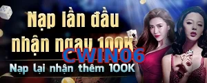 CWIN06