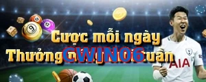 CWIN06