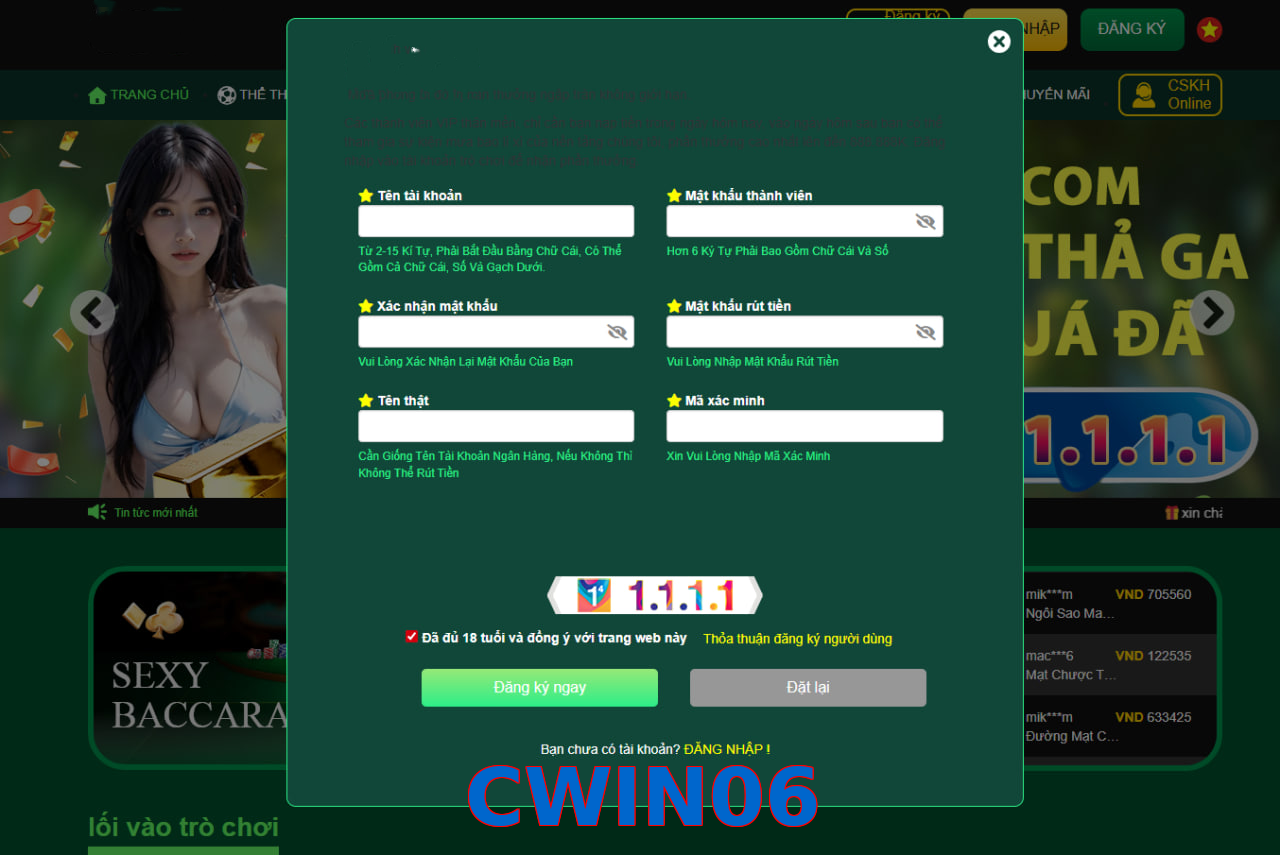 CWIN06